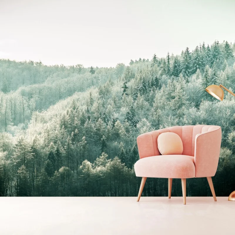 Fototapeta mglisty szronowy las – Wallissimo® Fototapeta mglisty szronowy las – Wallissimo®