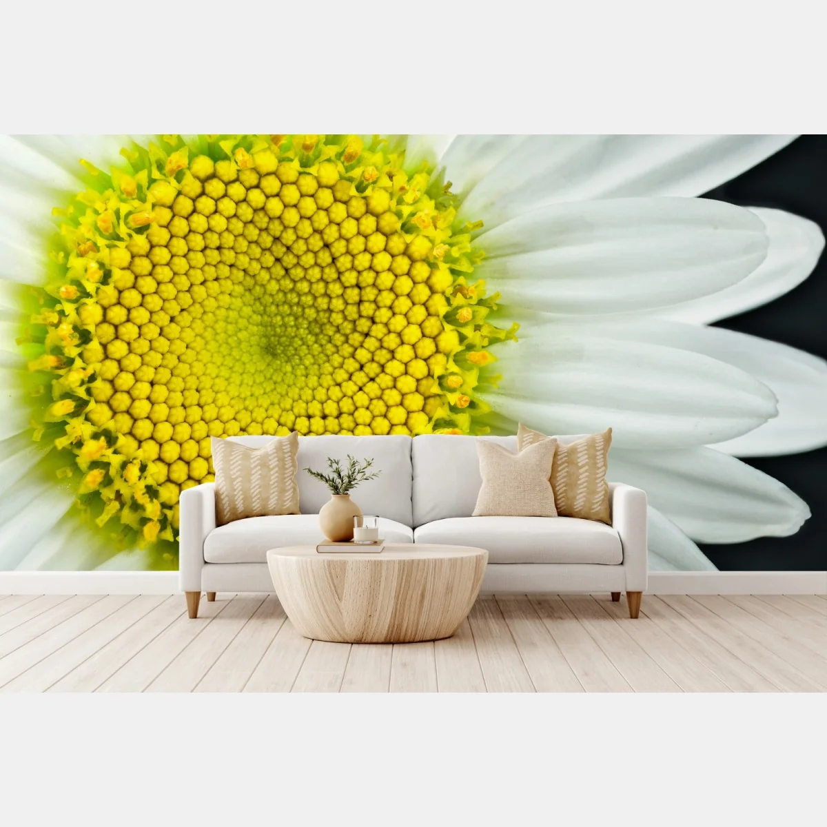 Fototapeta makro stokrotki w spiralnym wzorze – Wallissimo® Fototapeta makro stokrotki w spiralnym wzorze – Wallissimo®