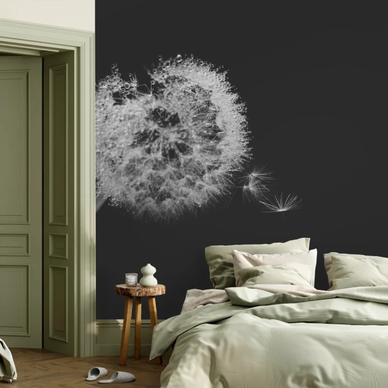 Fototapeta delikatny dmuchawiec w monochromie – Wallissimo® Fototapeta delikatny dmuchawiec w monochromie – Wallissimo®