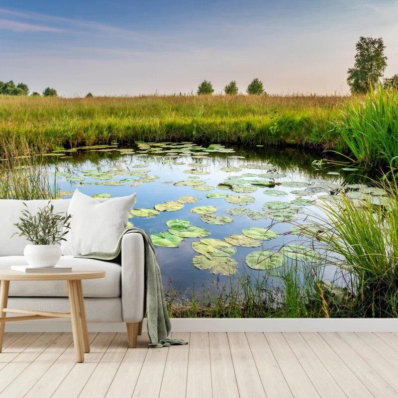 Fototapeta spokojny staw z grążelami na łące – Wallissimo® Fototapeta spokojny staw z grążelami na łące – Wallissimo®