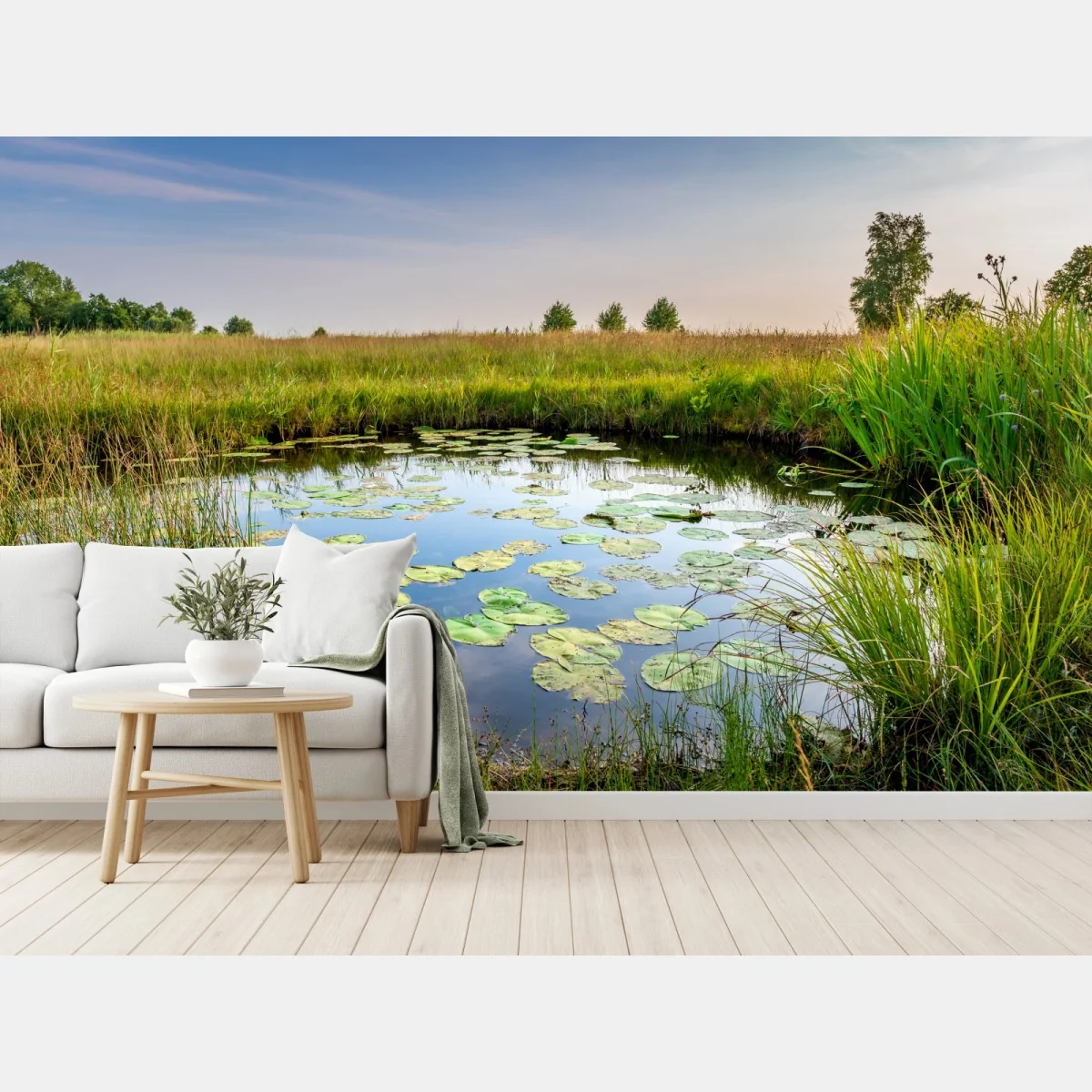 Fototapeta spokojny staw z grążelami na łące – Wallissimo® Fototapeta spokojny staw z grążelami na łące – Wallissimo®