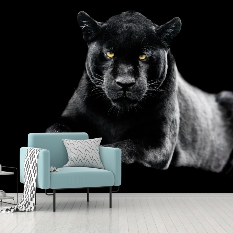 Fototapeta portret czarnej pantery na czarnym tle – Wallissimo® Fototapeta portret czarnej pantery na czarnym tle – Wallissimo®