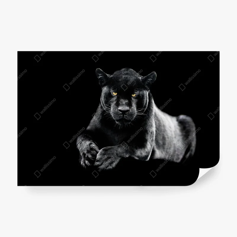 Fototapeta słoneczny wzór z parasolami plażowymi – Wallissimo®