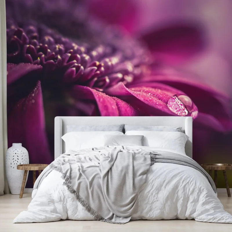 Fototapeta fioletowy makro kwiat z kroplą rosy – Wallissimo® Fototapeta fioletowy makro kwiat z kroplą rosy – Wallissimo®