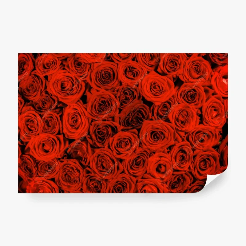 Fototapeta panorama portu Monte Carlo – Wallissimo®