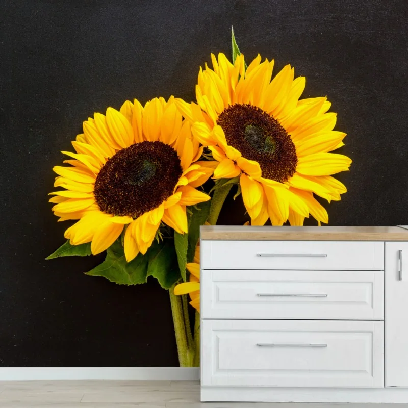 Fototapeta słoneczniki na czarnym tle – Wallissimo® Fototapeta słoneczniki na czarnym tle – Wallissimo®