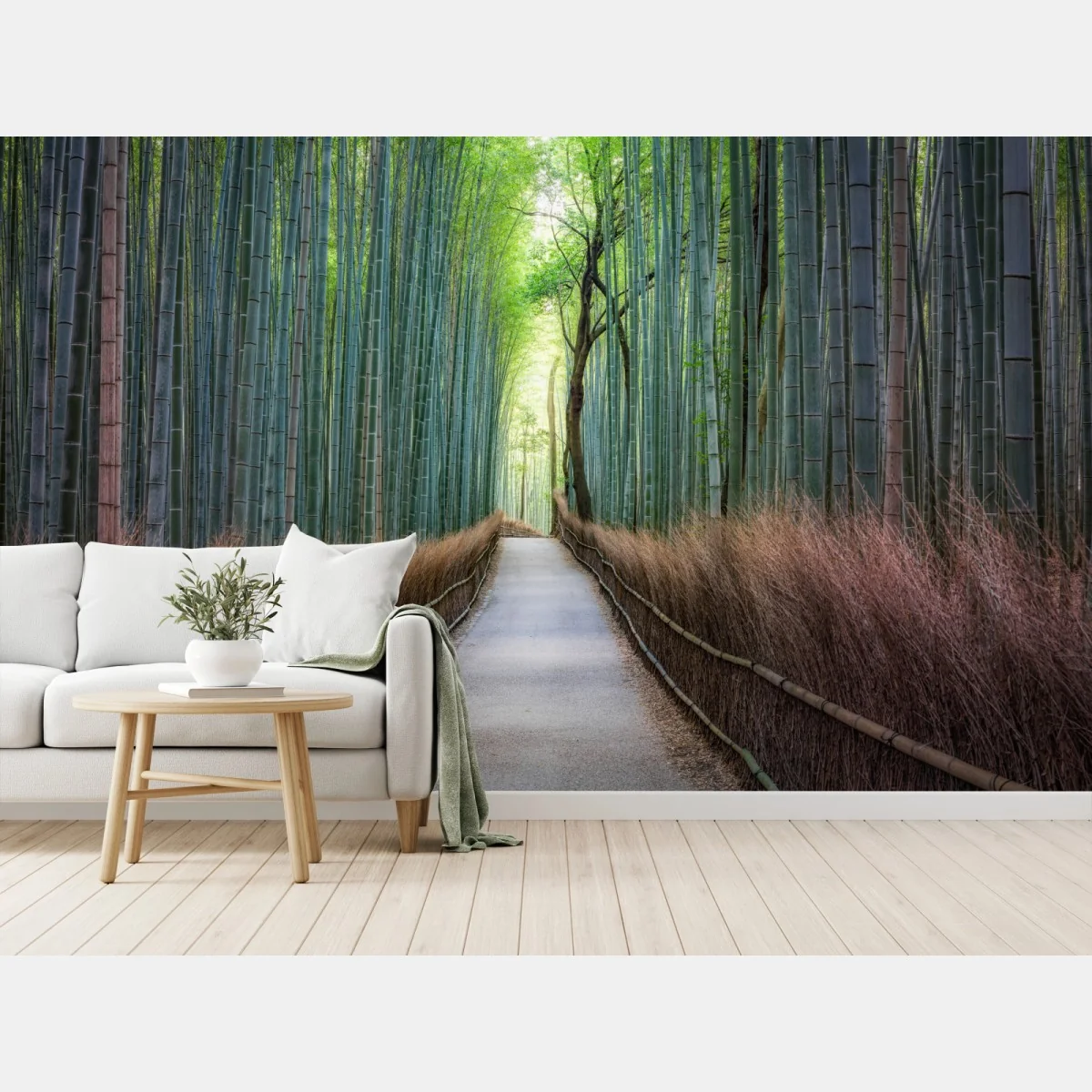 Fototapeta spokojna ścieżka w lesie bambusowym – Wallissimo® Fototapeta spokojna ścieżka w lesie bambusowym – Wallissimo®