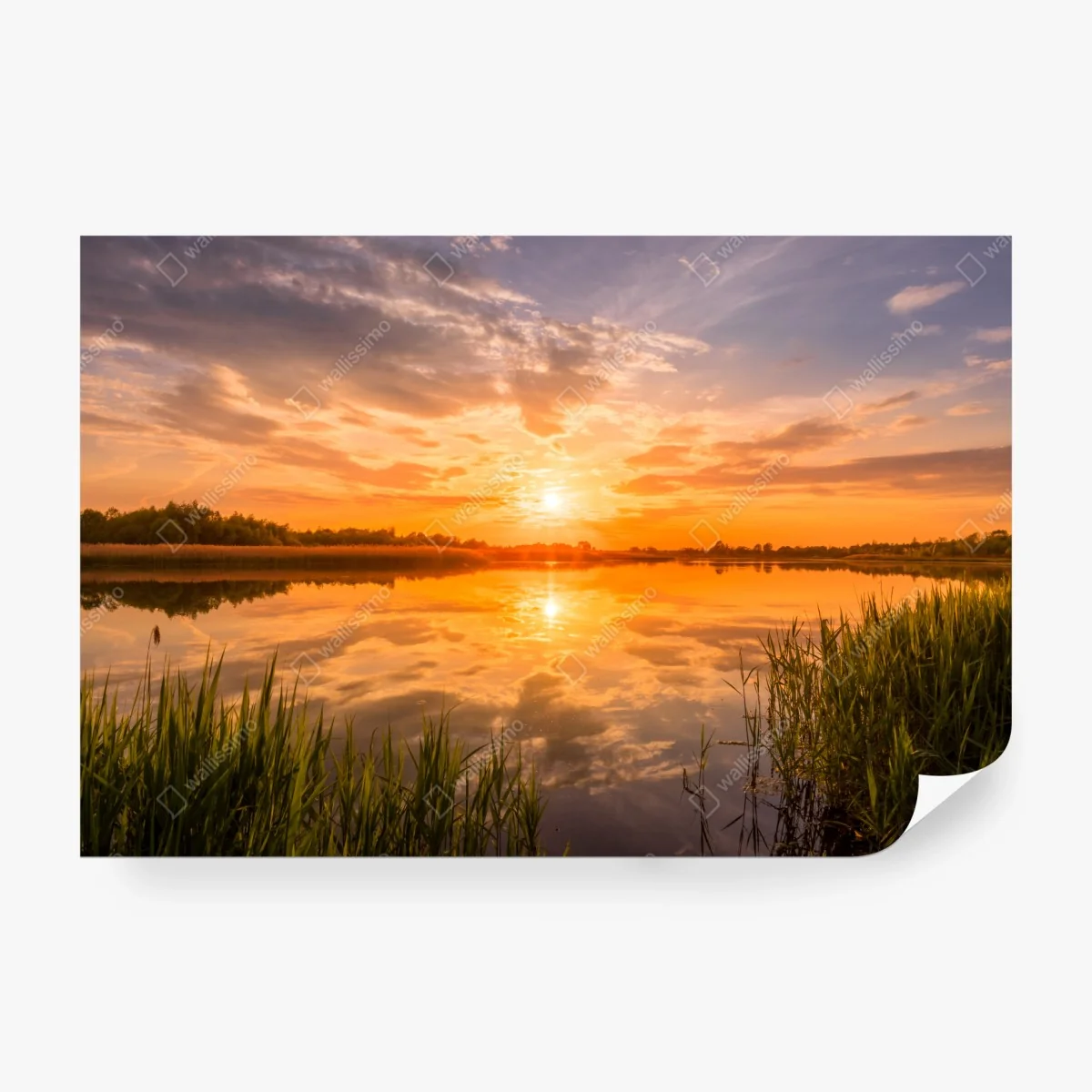 Fototapeta złoty zachód słońca nad spokojnym jeziorem – Wallissimo® Fototapeta złoty zachód słońca nad spokojnym jeziorem – Wallissimo®