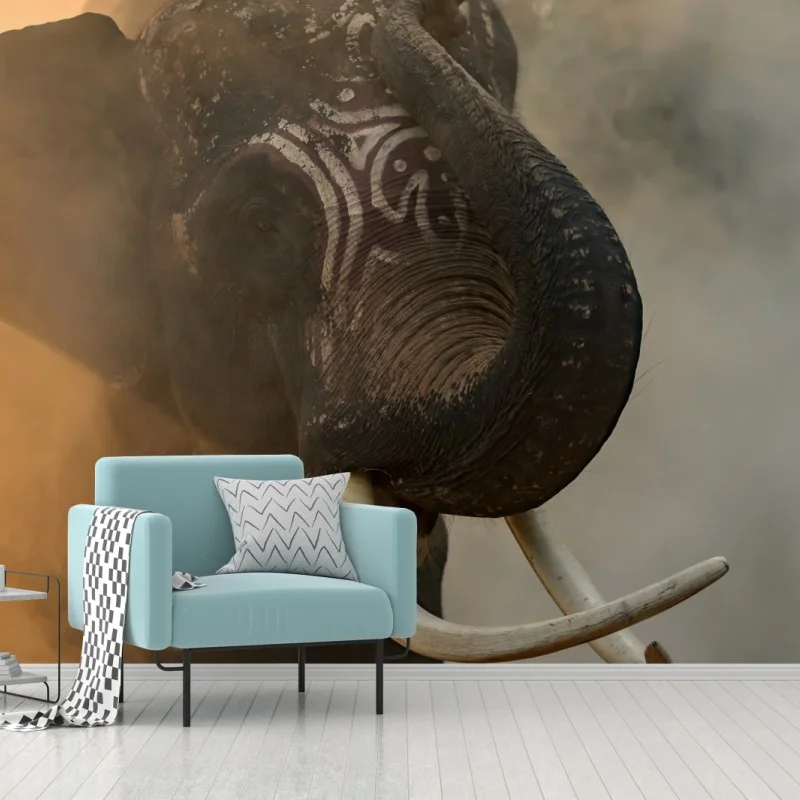 Fototapeta majestatyczny słoń z Tajlandii z kłami – Wallissimo® Fototapeta majestatyczny słoń z Tajlandii z kłami – Wallissimo®