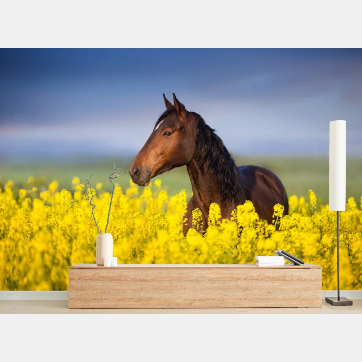 Fototapeta gniady koń na polu rzepaku – Wallissimo® Fototapeta gniady koń na polu rzepaku – Wallissimo®