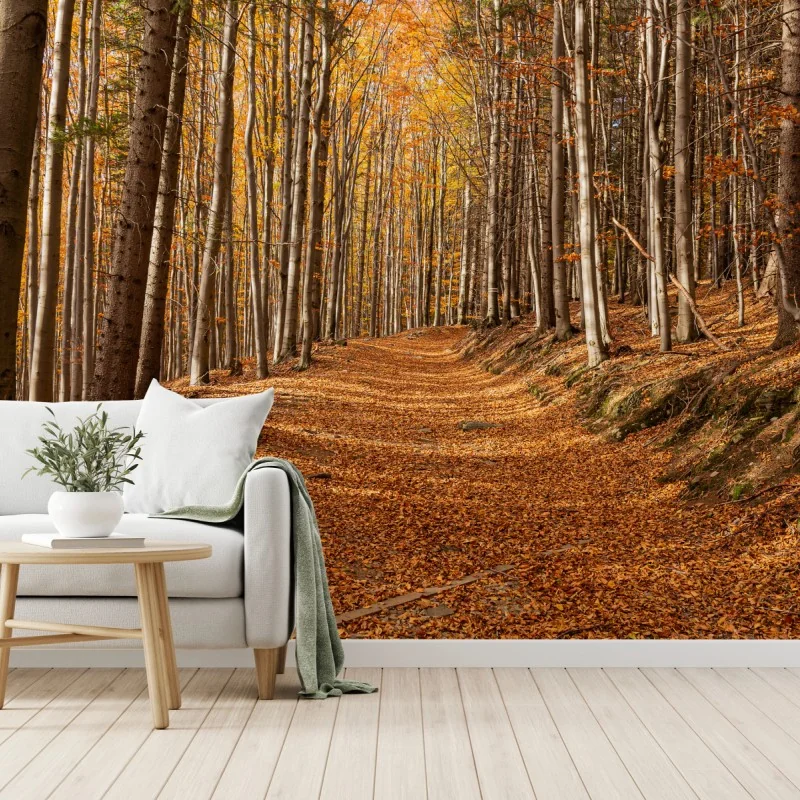 Fototapeta jesienna ścieżka leśna w złotych liściach – Wallissimo® Fototapeta jesienna ścieżka leśna w złotych liściach – Wallissimo®