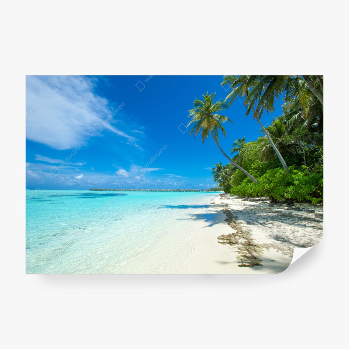 Fototapeta tropikalna plaża na Malediwach – Wallissimo® Fototapeta tropikalna plaża na Malediwach – Wallissimo®