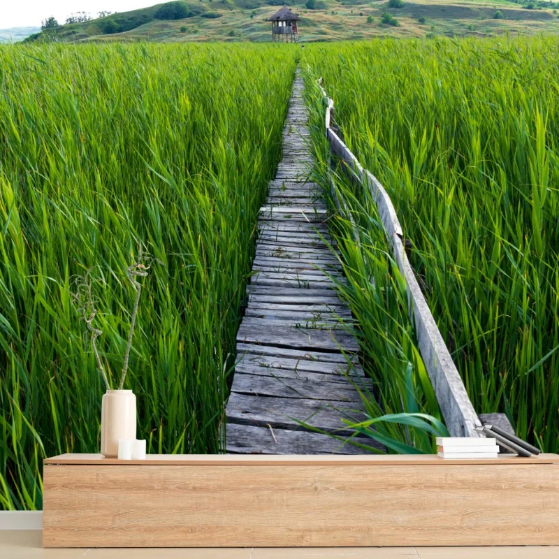 Fototapeta spokojny zielony pomost przez trzcinowisko do rustykalnej chaty – Wallissimo® Fototapeta spokojny zielony pomost przez trzcinowisko do rustykalnej chaty – Wallissimo®