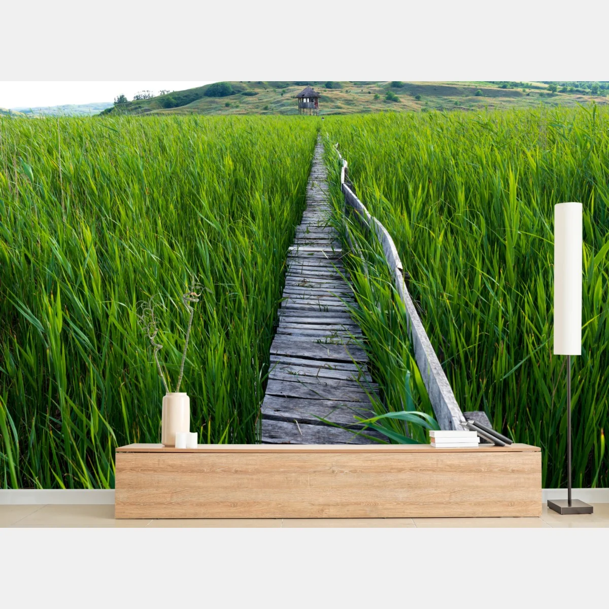 Fototapeta spokojny zielony pomost przez trzcinowisko do rustykalnej chaty – Wallissimo® Fototapeta spokojny zielony pomost przez trzcinowisko do rustykalnej chaty – Wallissimo®