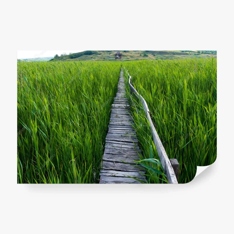 Fototapeta Colorado górska ścieżka o wschodzie słońca – Wallissimo®