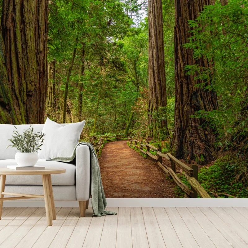 Fototapeta majestatyczna ścieżka w lesie sekwoi – Wallissimo® Fototapeta majestatyczna ścieżka w lesie sekwoi – Wallissimo®