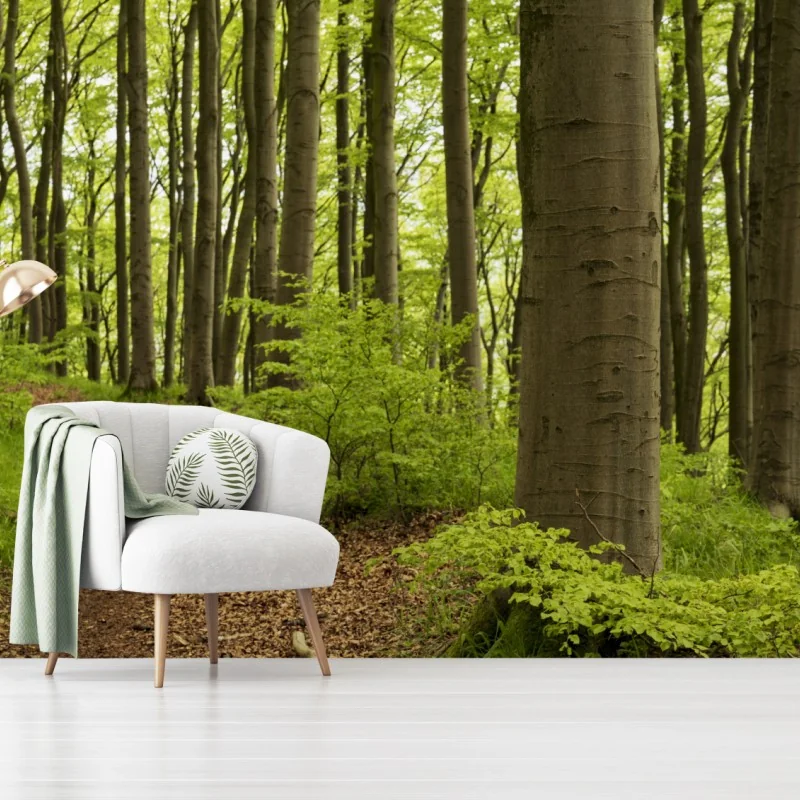 Fototapeta spokojna zielona ścieżka leśna – Wallissimo® Fototapeta spokojna zielona ścieżka leśna – Wallissimo®