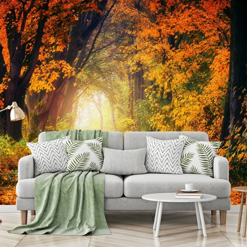 Fototapeta jesienna leśna ścieżka w złotym świetle – Wallissimo® Fototapeta jesienna leśna ścieżka w złotym świetle – Wallissimo®