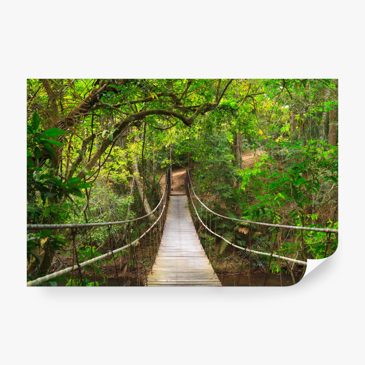 Fototapeta wiszący drewniany most w zielonym lesie – Wallissimo® Fototapeta wiszący drewniany most w zielonym lesie – Wallissimo®