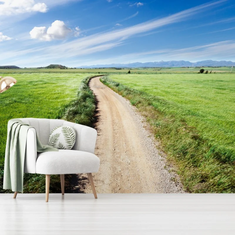 Fototapeta wijąca się wiejska droga przez zielone łąki – Wallissimo® Fototapeta wijąca się wiejska droga przez zielone łąki – Wallissimo®