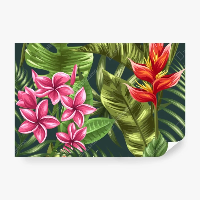 Fototapeta delikatne zbliżenie nasion dmuchawca czarno-białe – Wallissimo®