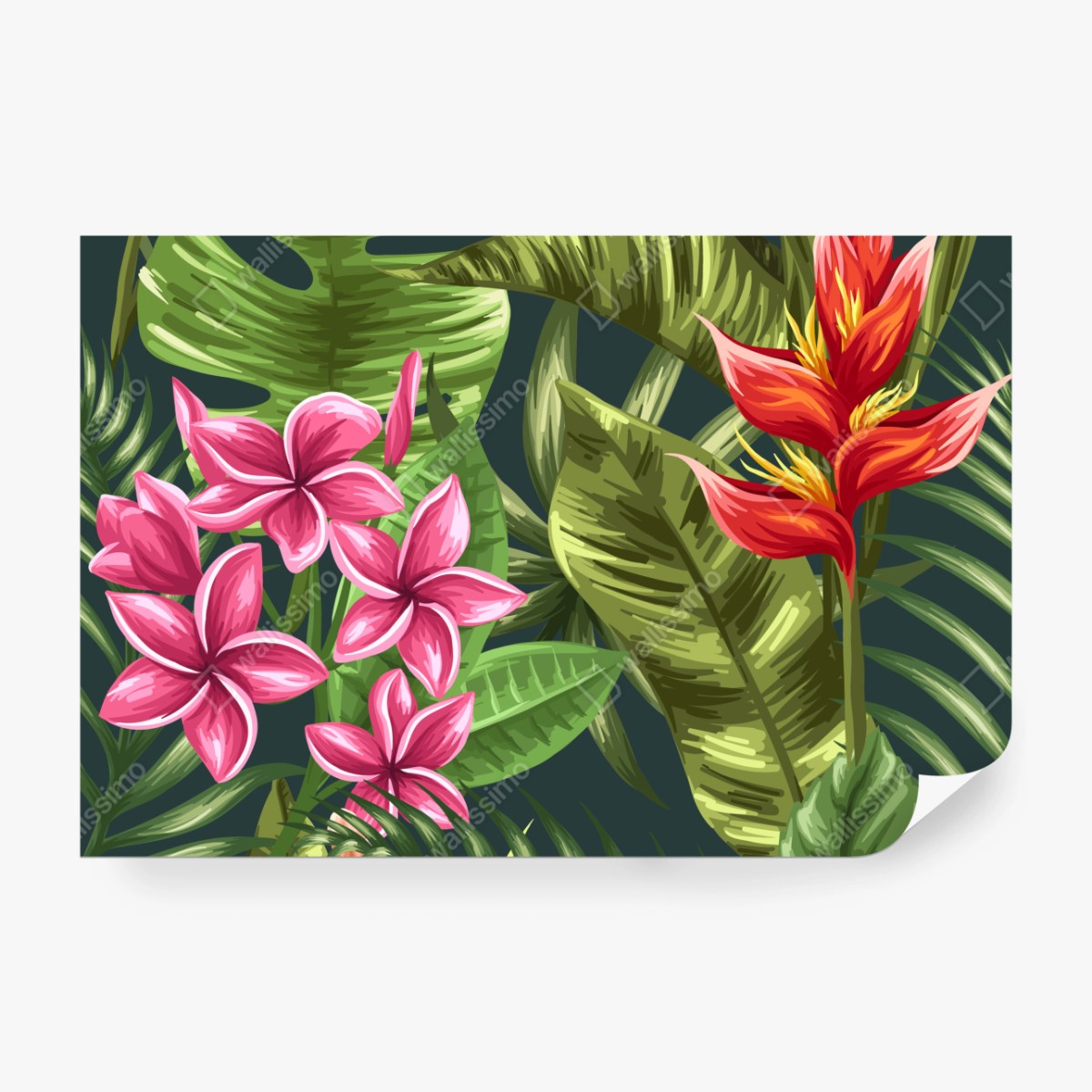 Fototapeta tropikalny wzór hibiskusa i plumerii – Wallissimo® Fototapeta tropikalny wzór hibiskusa i plumerii – Wallissimo®