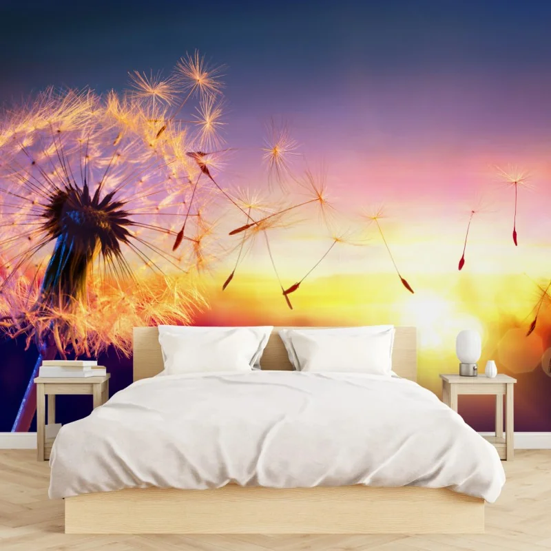 Fototapeta złoty mniszek przy zachodzie słońca – Wallissimo® Fototapeta złoty mniszek przy zachodzie słońca – Wallissimo®