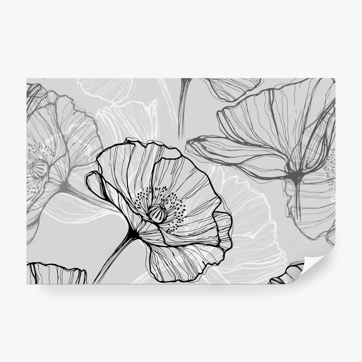 Fototapeta delikatny szary mak w rysunku liniowym – Wallissimo® Fototapeta delikatny szary mak w rysunku liniowym – Wallissimo®