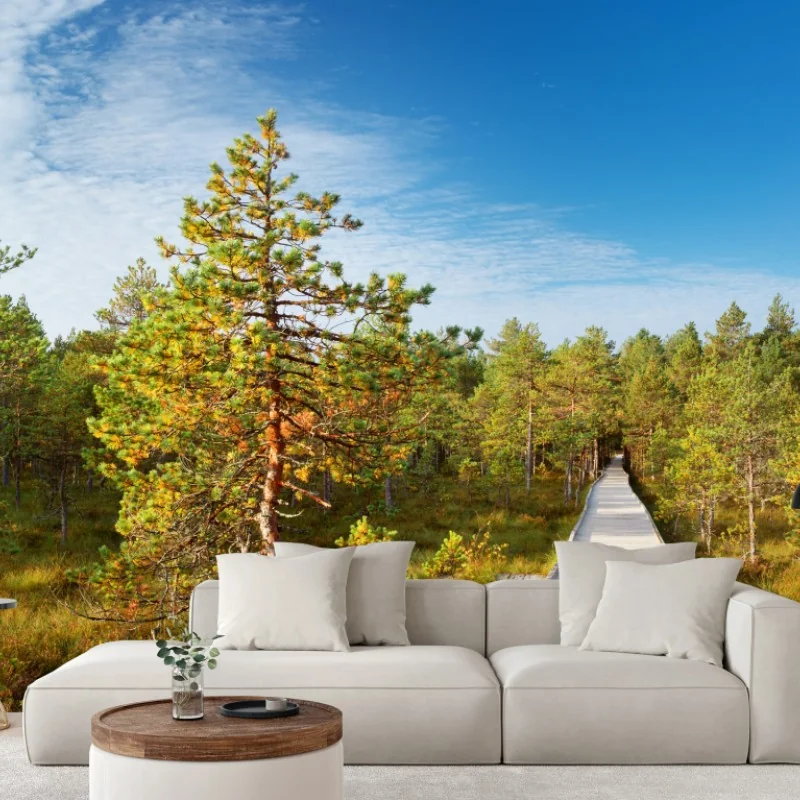 Fototapeta słoneczna kładka w sosnowym lesie – Wallissimo® Fototapeta słoneczna kładka w sosnowym lesie – Wallissimo®