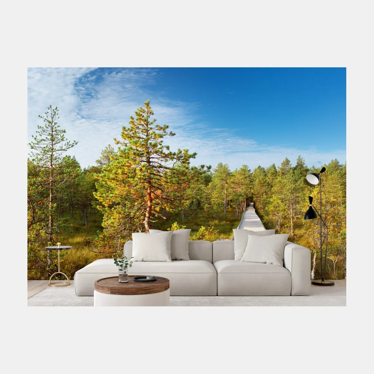 Fototapeta słoneczna kładka w sosnowym lesie – Wallissimo® Fototapeta słoneczna kładka w sosnowym lesie – Wallissimo®