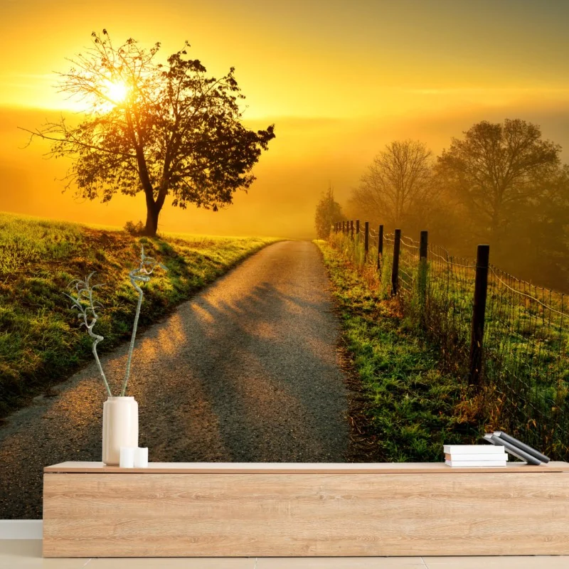 Fototapeta słoneczna droga przez wiejską łąkę o świcie – Wallissimo® Fototapeta słoneczna droga przez wiejską łąkę o świcie – Wallissimo®