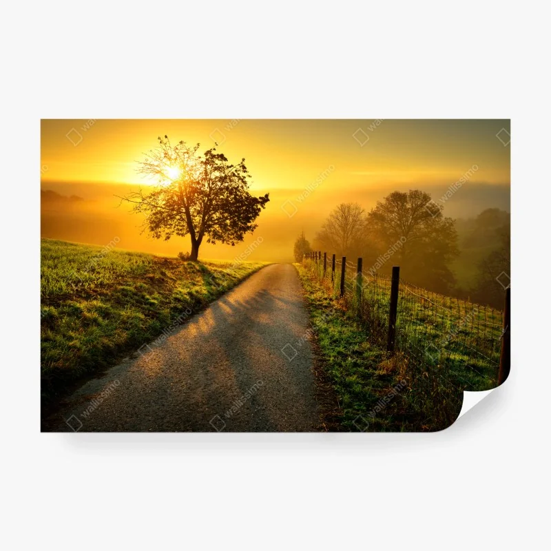 Fototapeta Paryż panorama o zachodzie słońca z Wieżą Eiffla – Wallissimo®