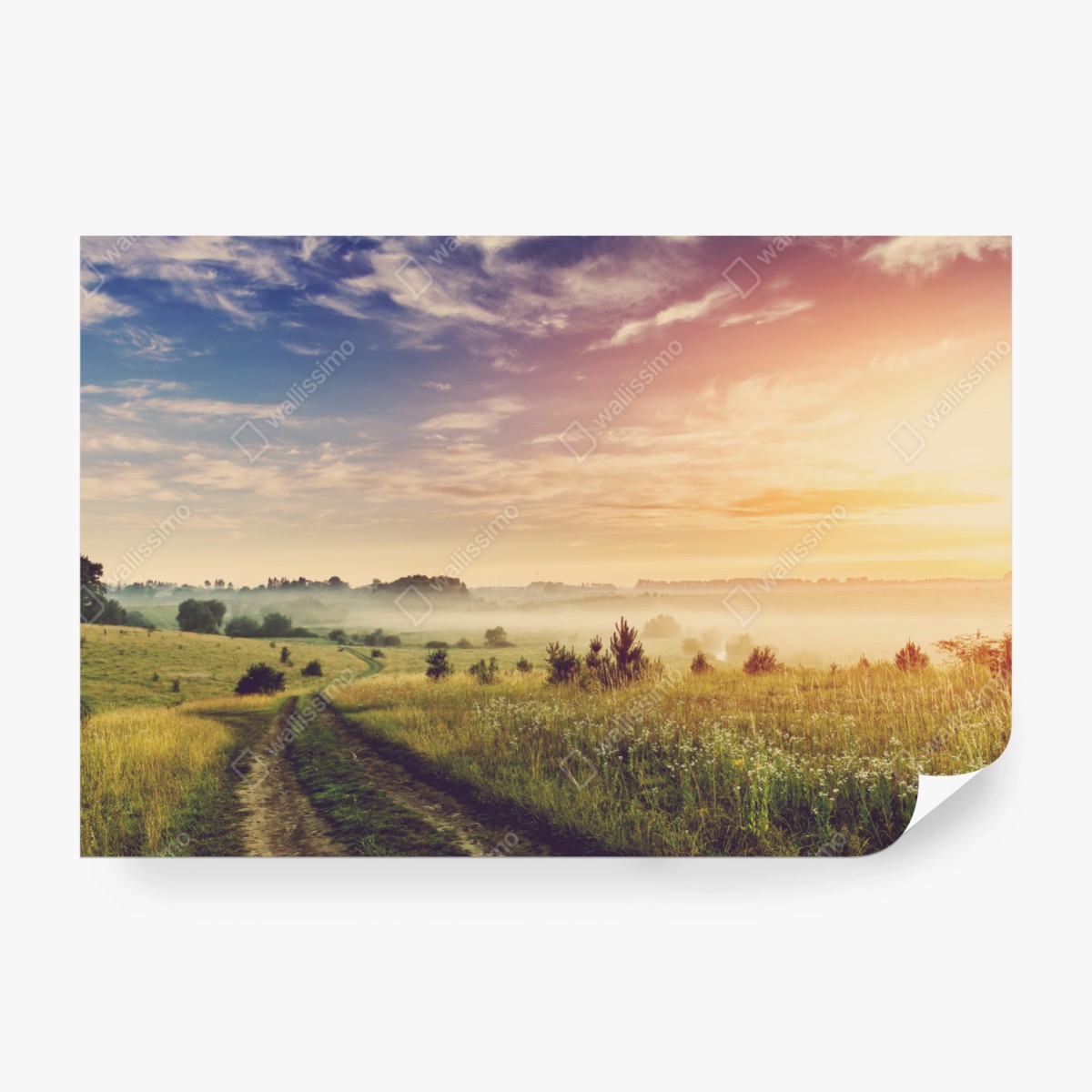 Fototapeta mglisty wschód słońca nad wiejską łąką – Wallissimo® Fototapeta mglisty wschód słońca nad wiejską łąką – Wallissimo®