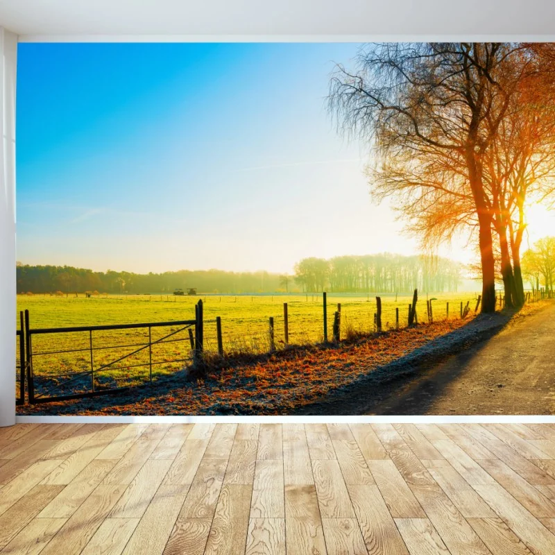 Fototapeta słoneczna wiejska droga przez jesienną łąkę – Wallissimo® Fototapeta słoneczna wiejska droga przez jesienną łąkę – Wallissimo®