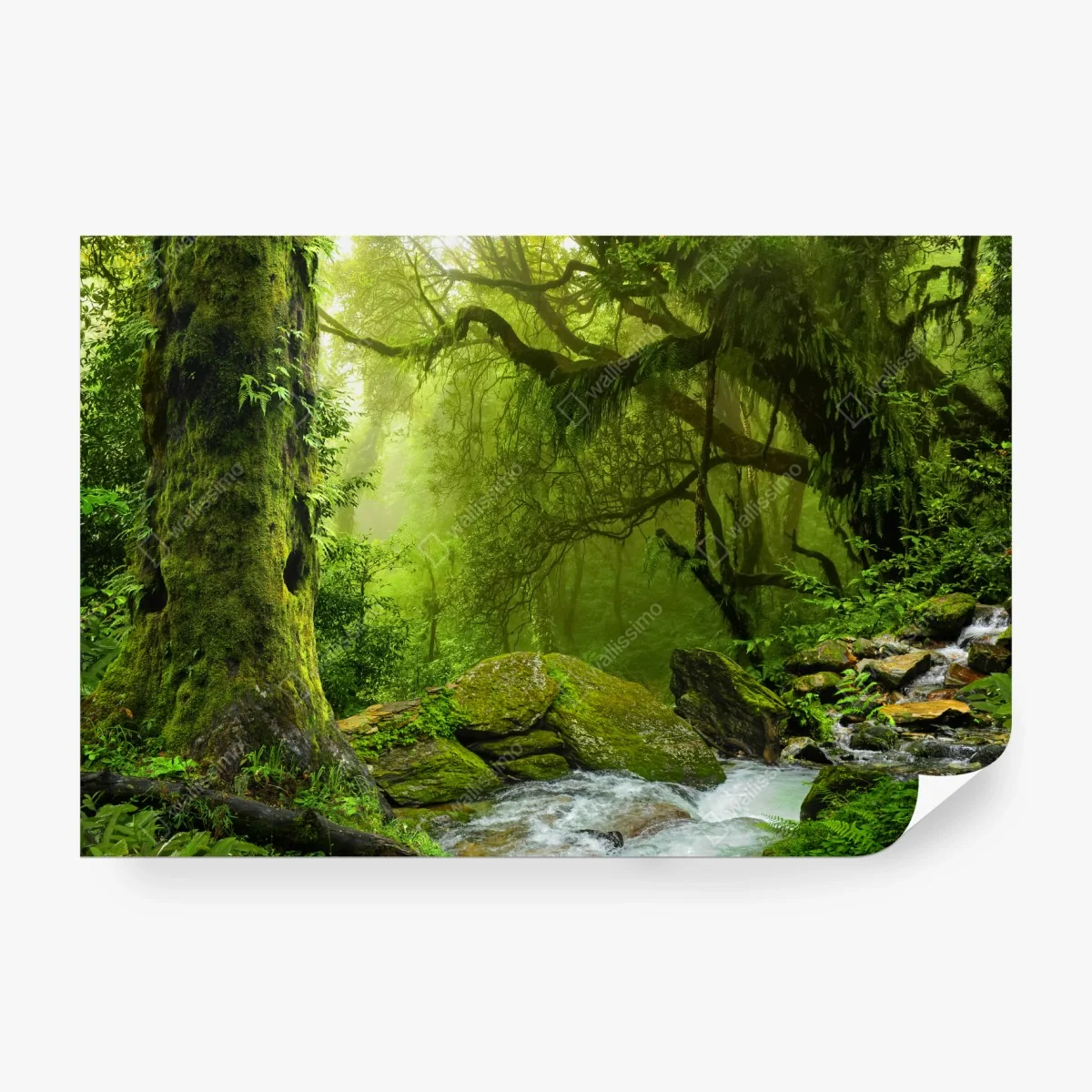 Fototapeta zaczarowany zielony leśny strumień – Wallissimo® Fototapeta zaczarowany zielony leśny strumień – Wallissimo®