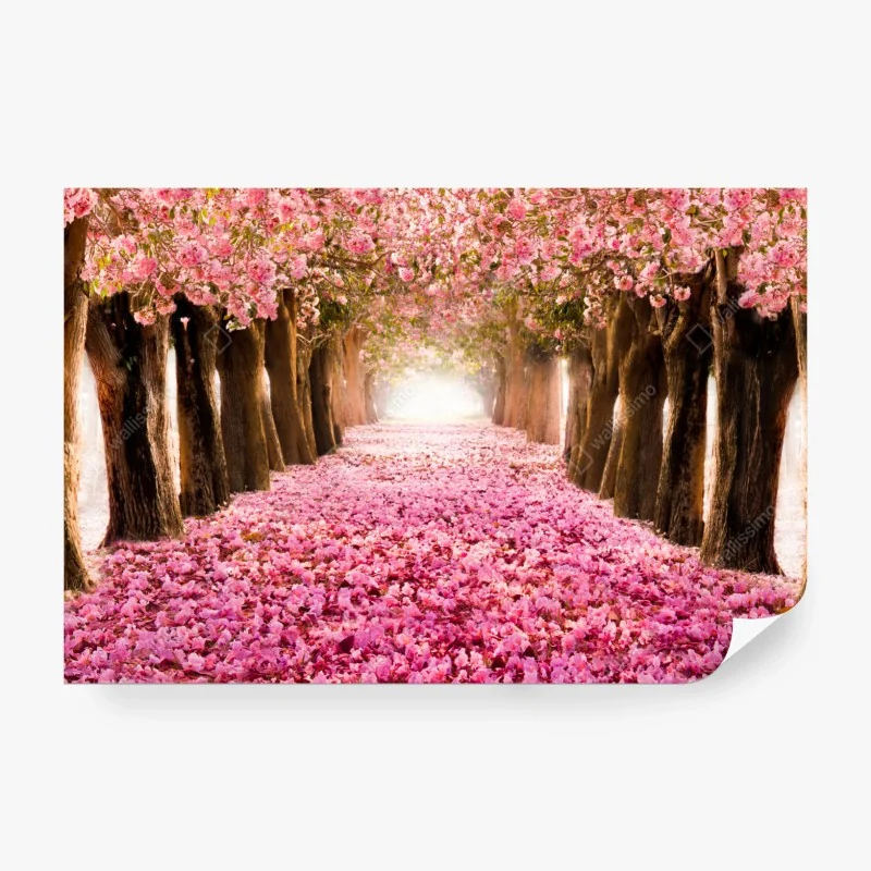 Fototapeta spokojna zielona leśna ścieżka – Wallissimo®