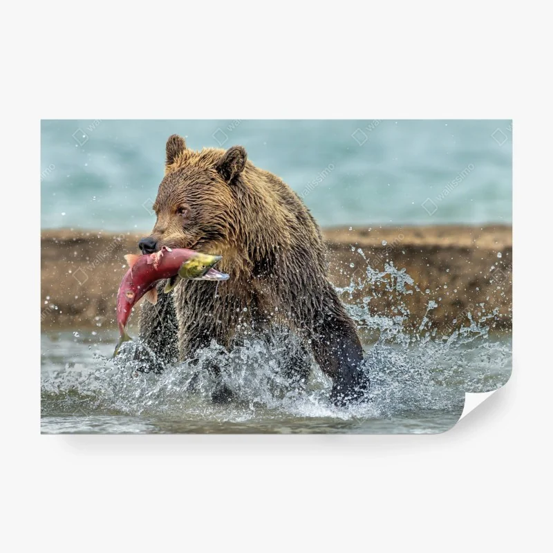 Fototapeta tropikalny geometryczny wzór ptaków – Wallissimo®