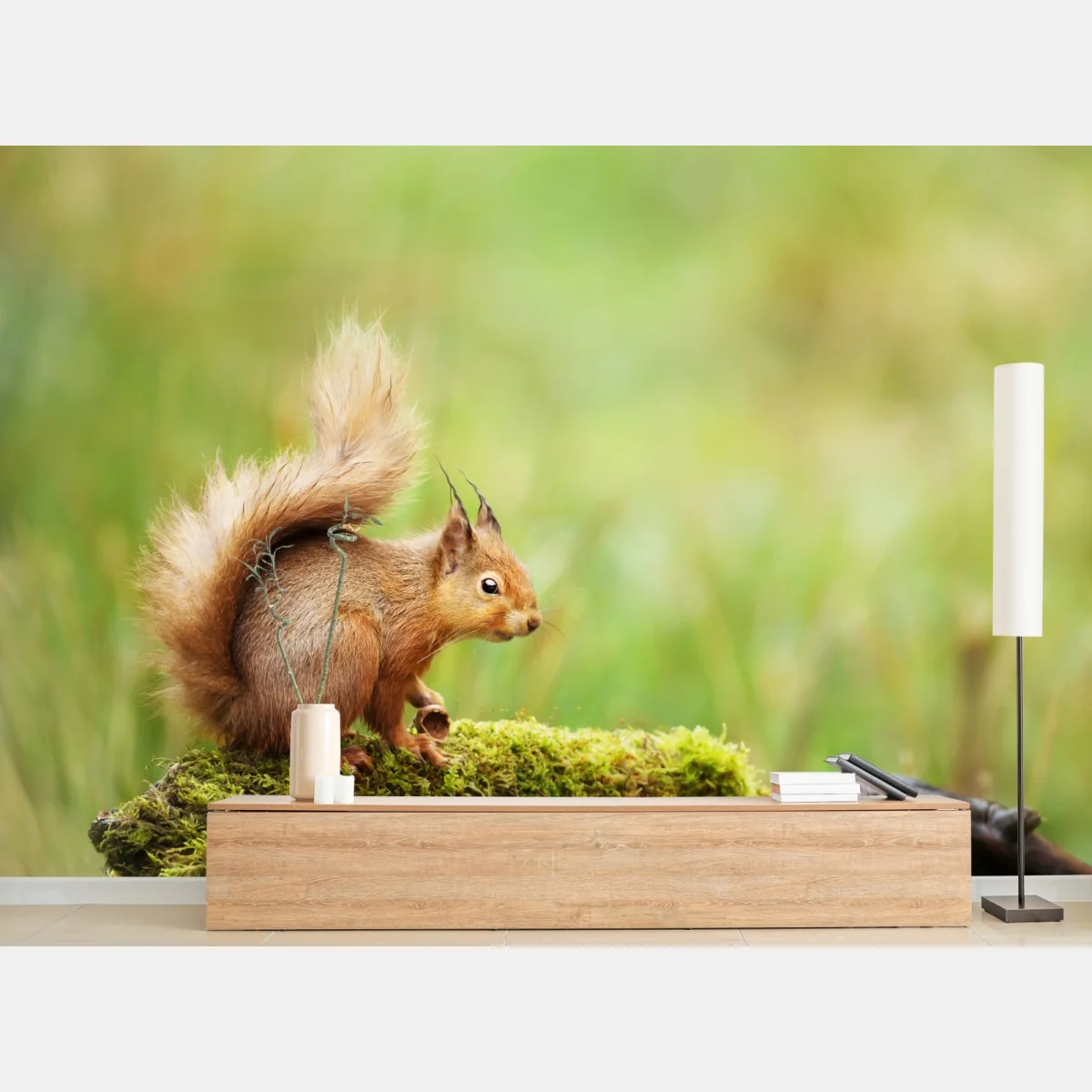 Fototapeta ruda wiewiórka na mchu – Wallissimo® Fototapeta ruda wiewiórka na mchu – Wallissimo®
