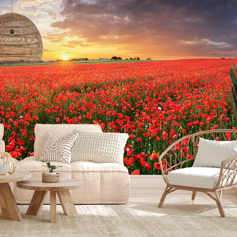 Fototapeta pole maków o zachodzie słońca – Wallissimo® Fototapeta pole maków o zachodzie słońca – Wallissimo®
