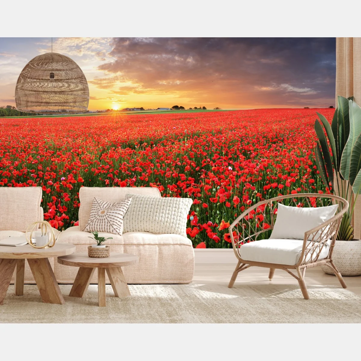 Fototapeta pole maków o zachodzie słońca – Wallissimo® Fototapeta pole maków o zachodzie słońca – Wallissimo®