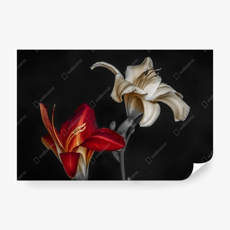 Fototapeta luksusowy złoty wzór kwiatowy na granacie – Wallissimo®