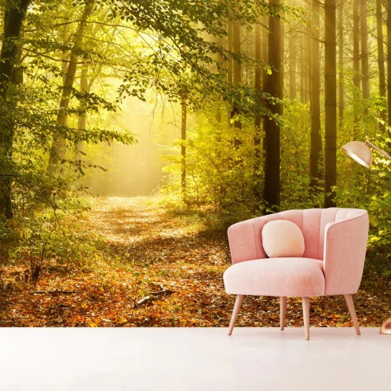 Fototapeta słoneczna leśna ścieżka jesienią – Wallissimo® Fototapeta słoneczna leśna ścieżka jesienią – Wallissimo®