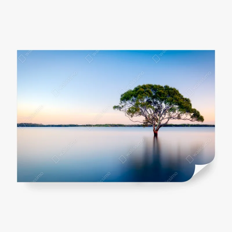 Fototapeta słoneczna zielona łąka pod niebieskim niebem – Wallissimo®