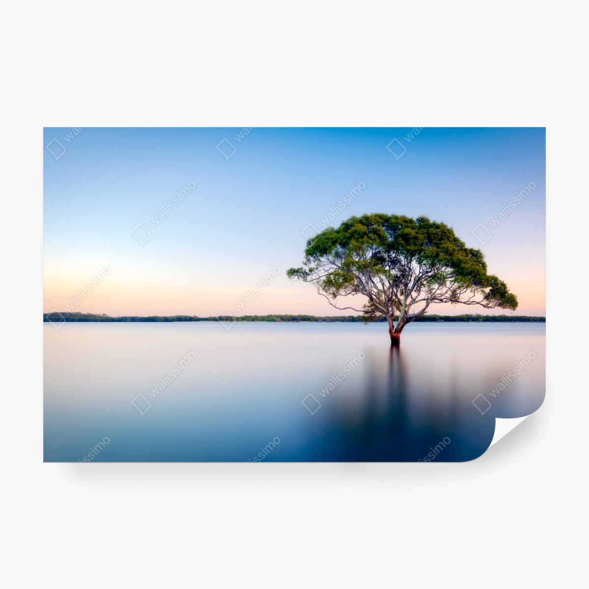 Fototapeta samotne drzewo nad spokojnym jeziorem – Wallissimo® Fototapeta samotne drzewo nad spokojnym jeziorem – Wallissimo®