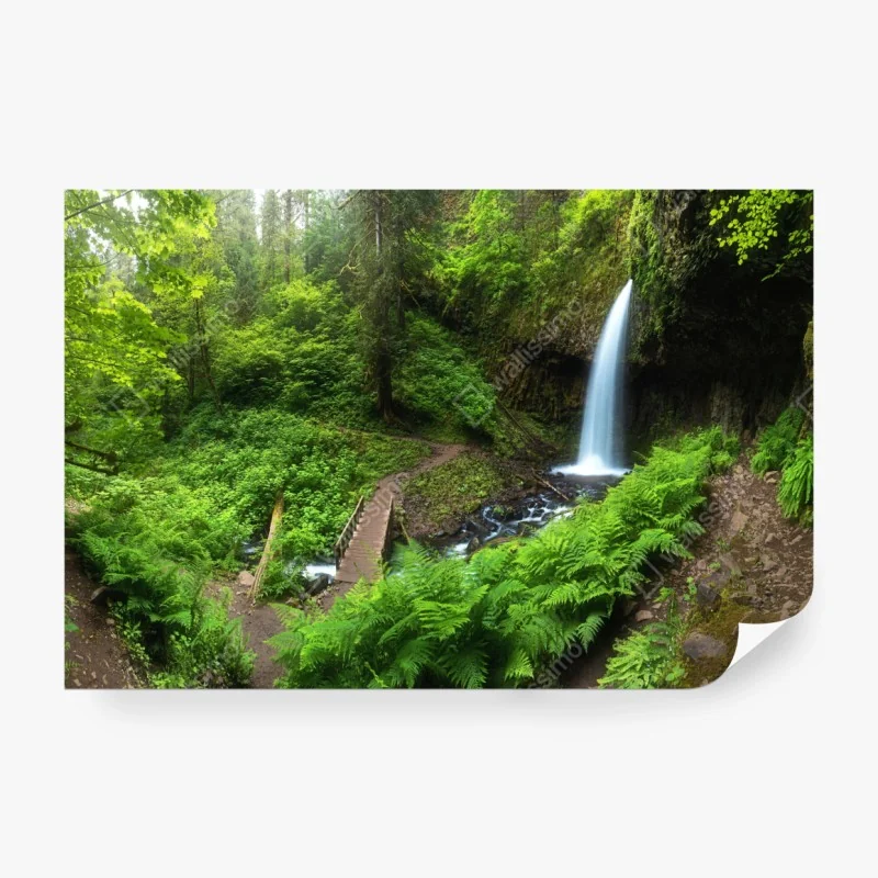 Fototapeta wiosenny ogród tulipanów nad kanałem – Wallissimo®