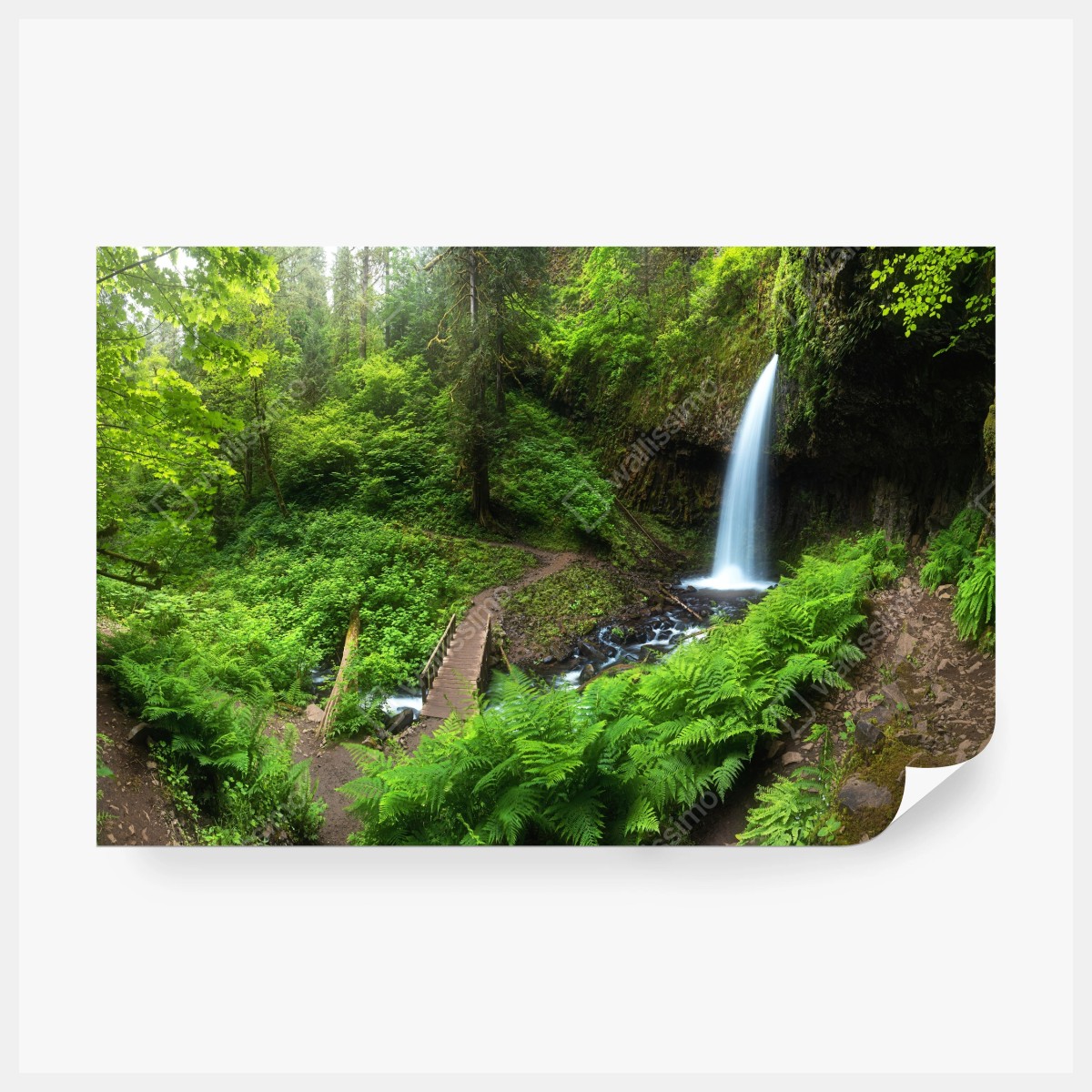 Fototapeta bujny leśny wodospad panorama – Wallissimo® Fototapeta bujny leśny wodospad panorama – Wallissimo®