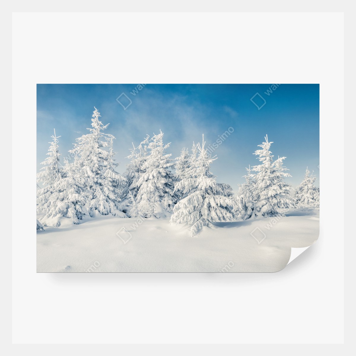 Fototapeta panorama zimowego lasu pokrytego śniegiem – Wallissimo® Fototapeta panorama zimowego lasu pokrytego śniegiem – Wallissimo®