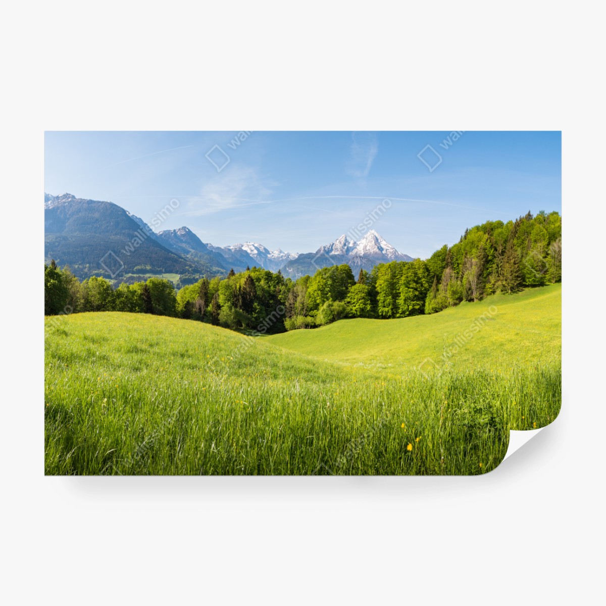 Fototapeta spokojna alpejska łąka w panoramie – Wallissimo® Fototapeta spokojna alpejska łąka w panoramie – Wallissimo®