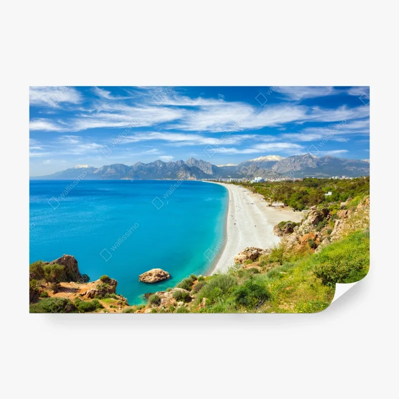 Fototapeta zielony wzór z warzywami – Wallissimo®