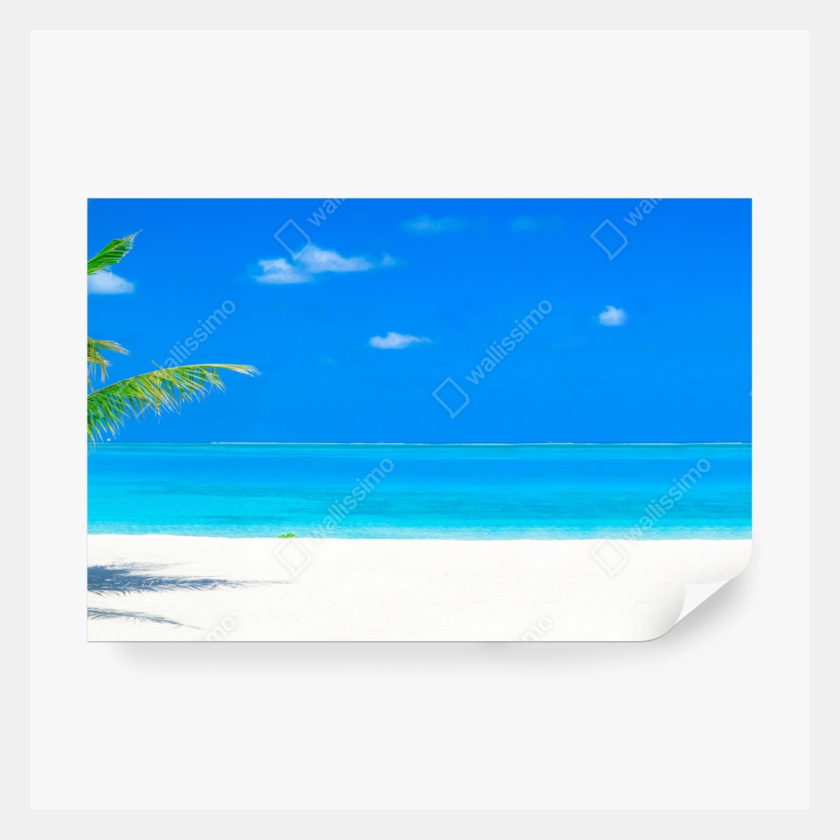 Fototapeta Malediwy tropikalna plaża raj – Wallissimo® Fototapeta Malediwy tropikalna plaża raj – Wallissimo®